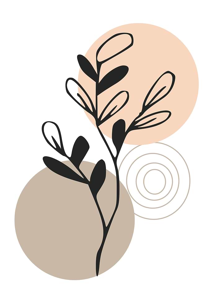 Abstract Botanical Illustration with Circles