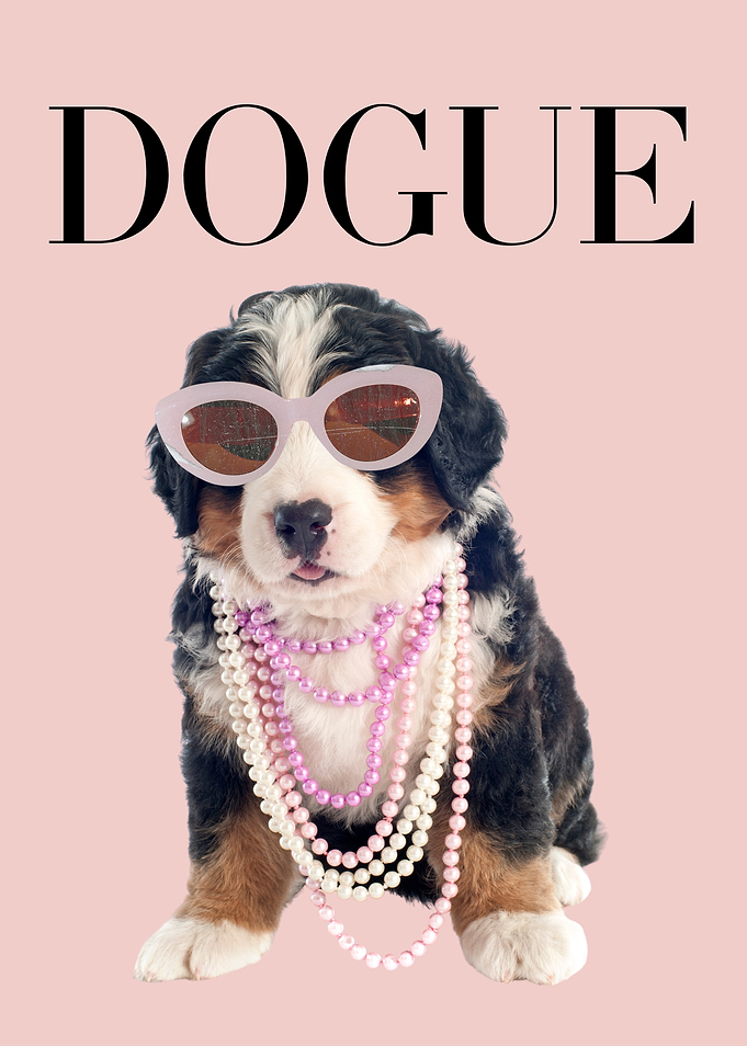 Dogue Puppy Fashion