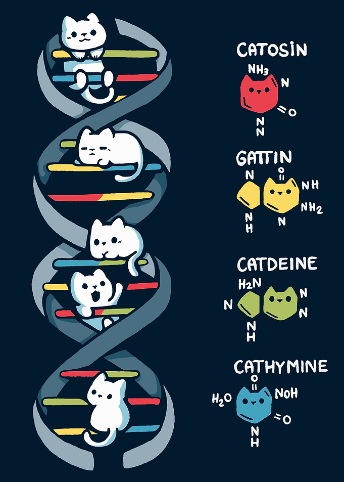 Cute Cat DNA