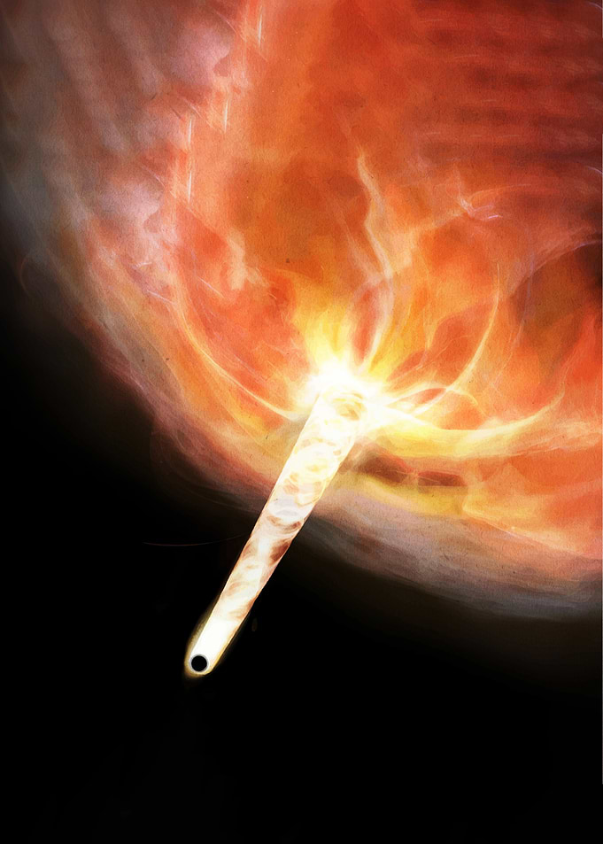 Black Hole Jet