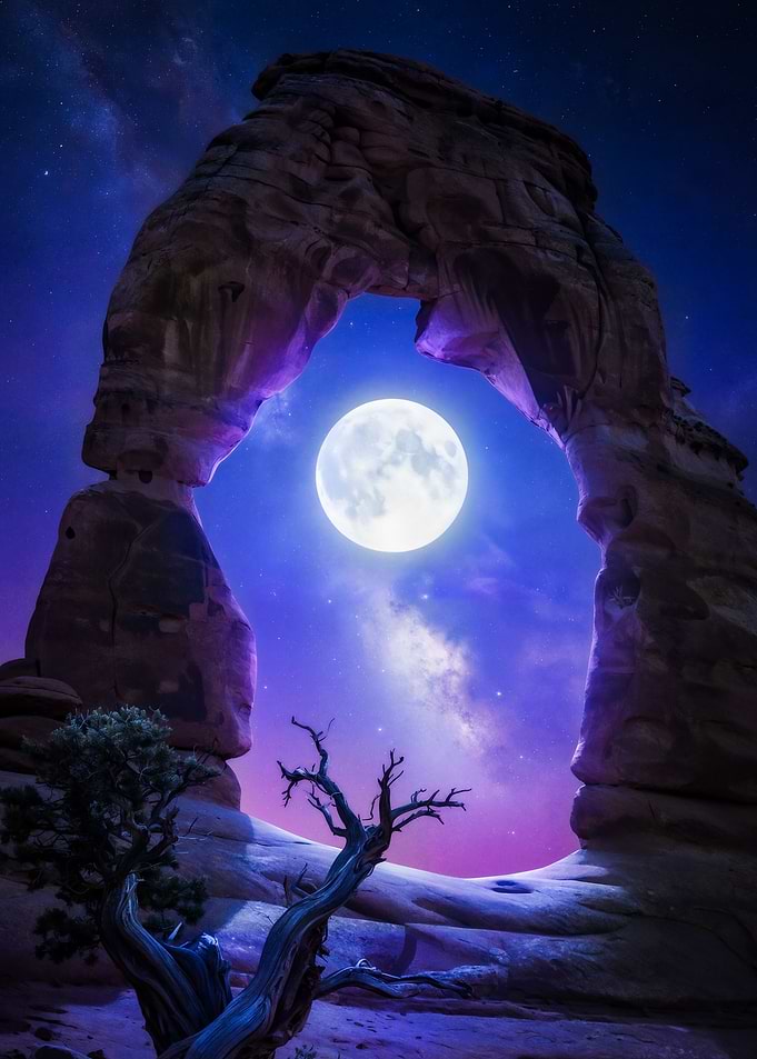 Moonlit Arch and Desert Tree
