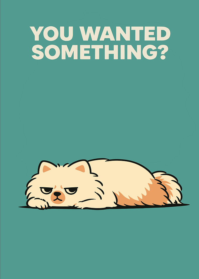 Grumpy Cat Asks 'You Wanted Something?'