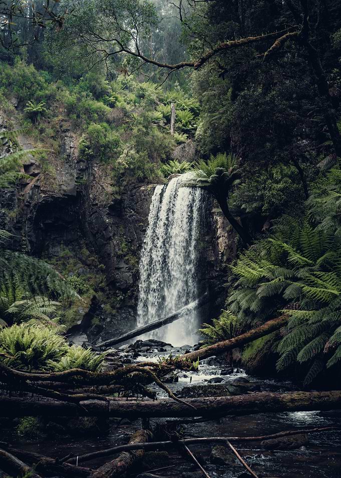 Misty Waterfall in hopetoun fall (australia)