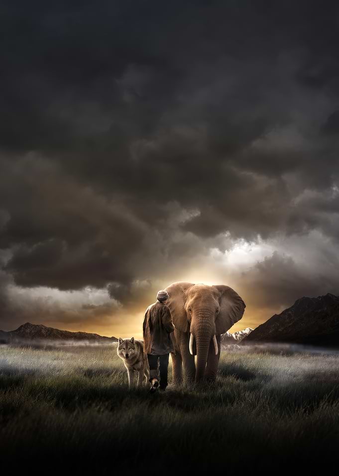 Man, Wolf, and Elephant in Stormy Landscape