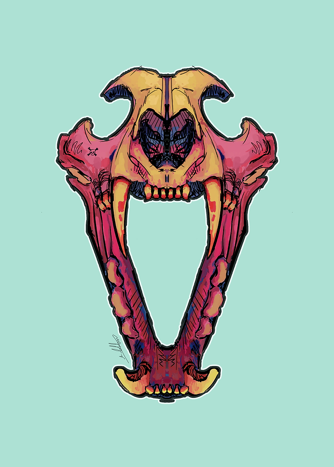 Colorful Sabre-toothed Cat Skull