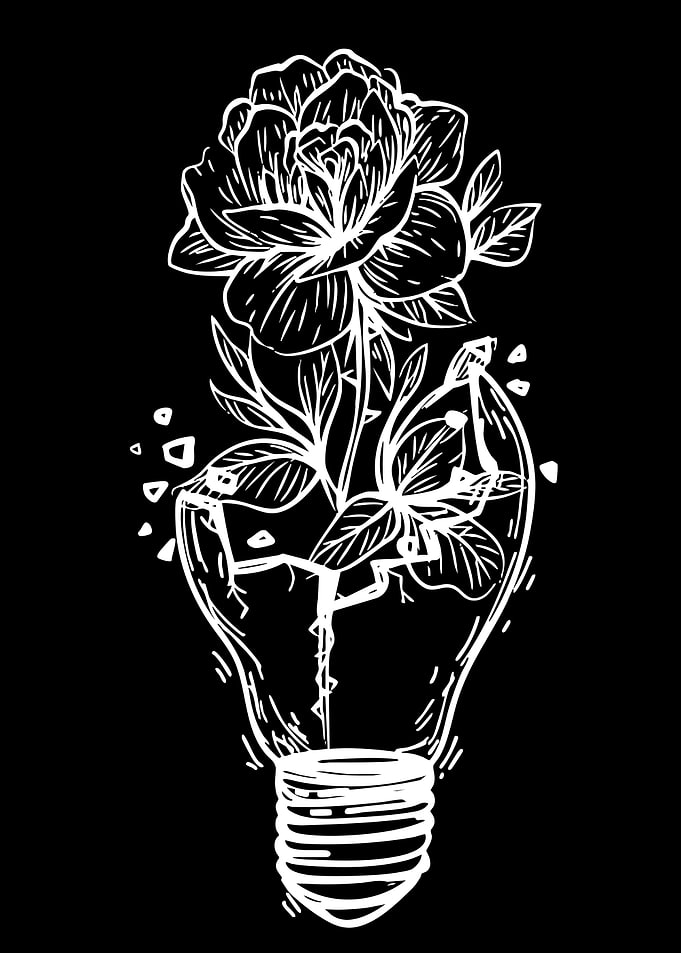 Flower Growing Out of Lightbulb