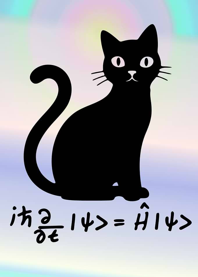 Schrodinger's Cat Quantum Equation