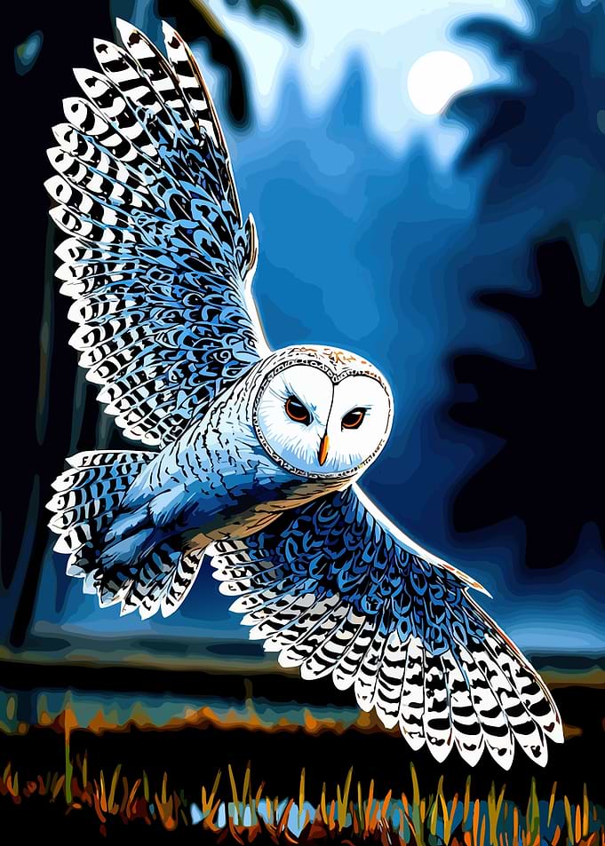 Barn Owl Flying at Night
