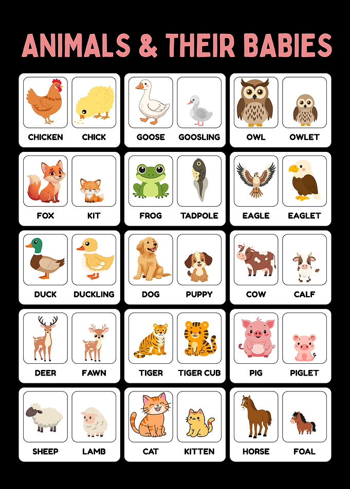 Animals Chart For Kids Learning