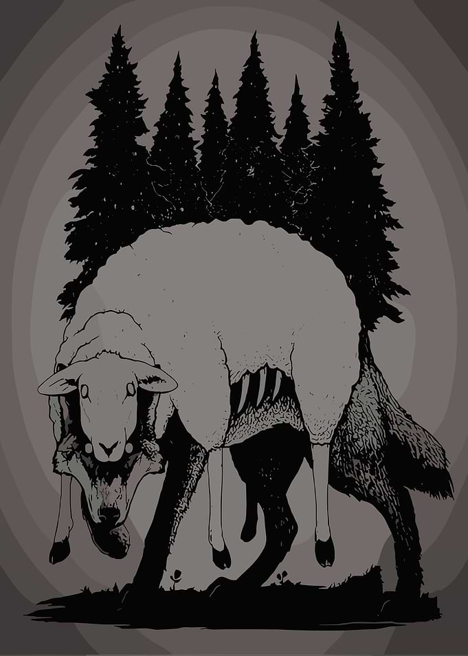 Wolf in Sheep's Clothing Forest inscryption