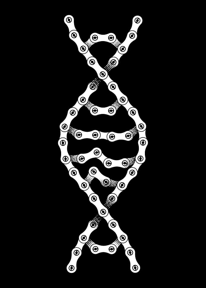 Biking Is In My DNA