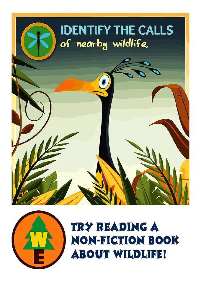 Cartoon Bird and Wildlife Poster