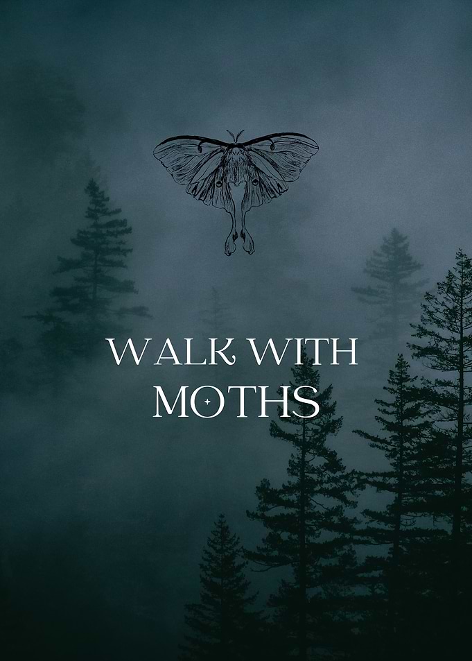 Walk With Moths Forest