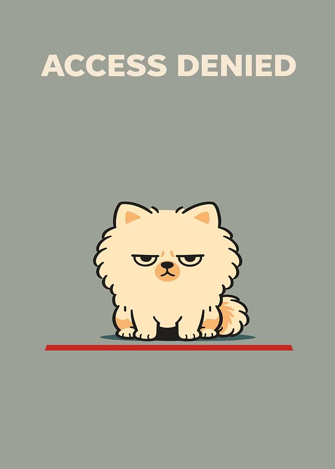 Funny Dog Animal Room