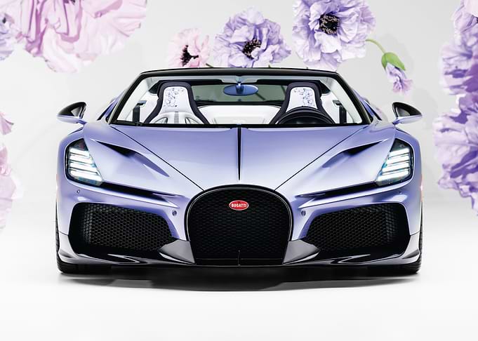 Bugatti Mistral Roadster with Floral Background