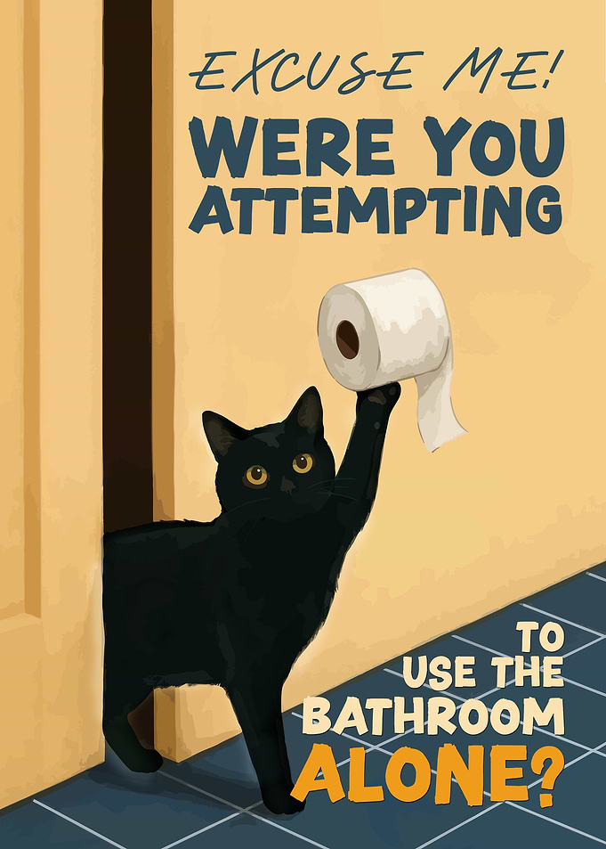 Black Cat with Toilet Paper