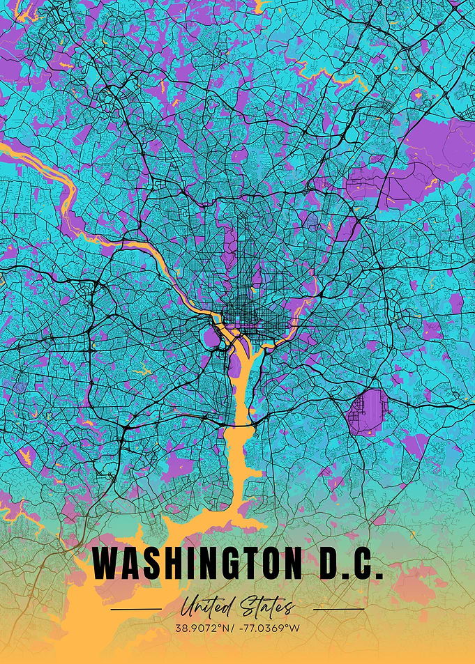 Washington D.C. Map Art