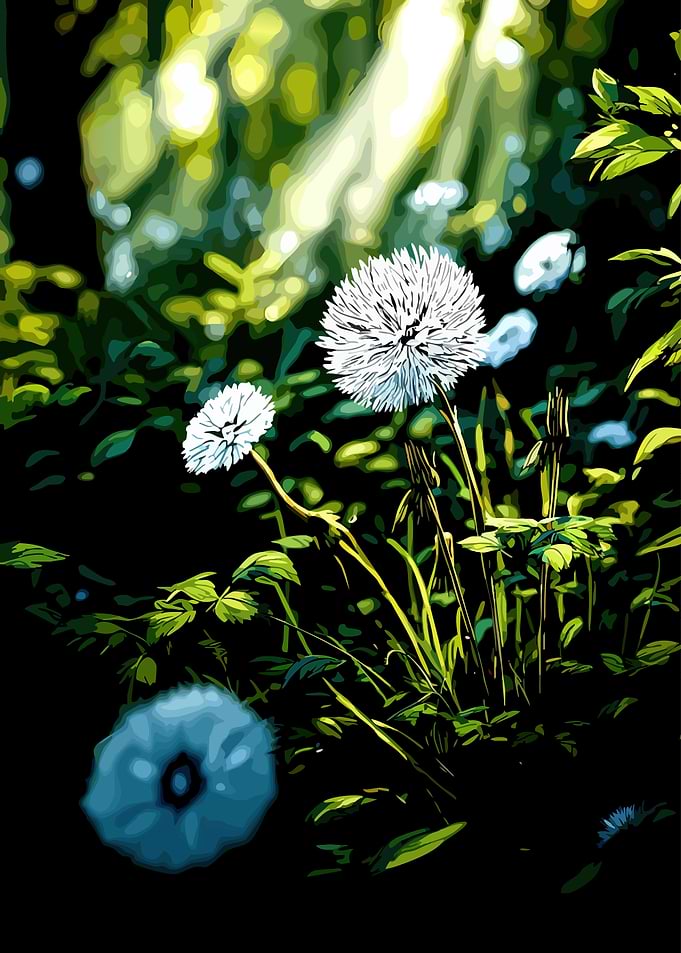 Dandelions in Sunlight