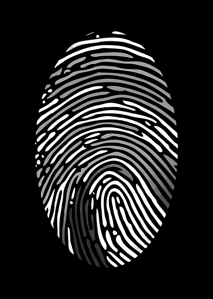 Fingerprint Graphic