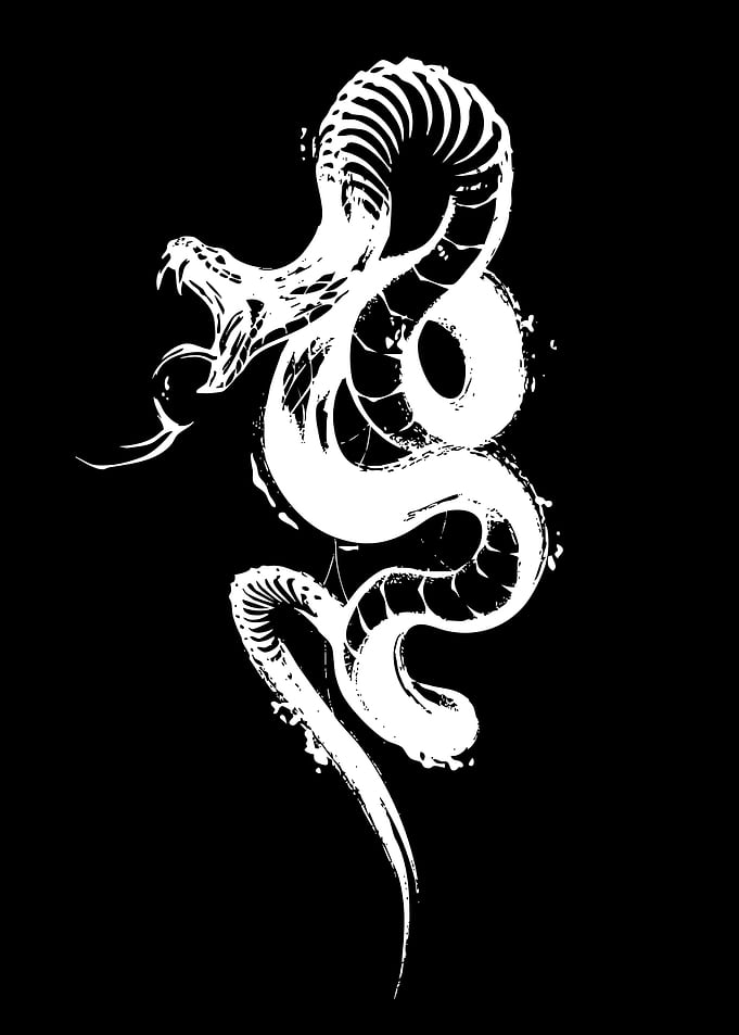 White Snake Skeleton on Black Background