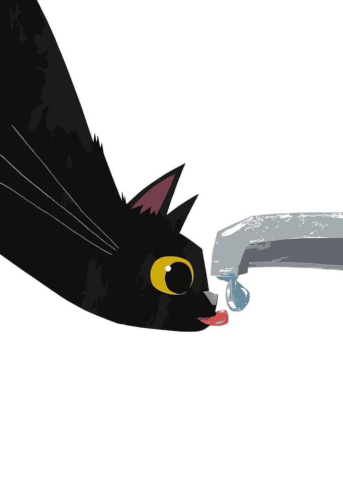 Black cat drinking water from a faucet