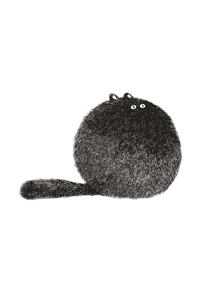 Fluffy Black Cat Illustration