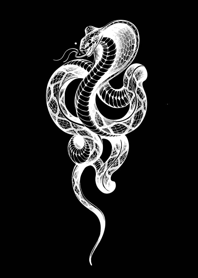 Stylized Cobra Snake Illustration