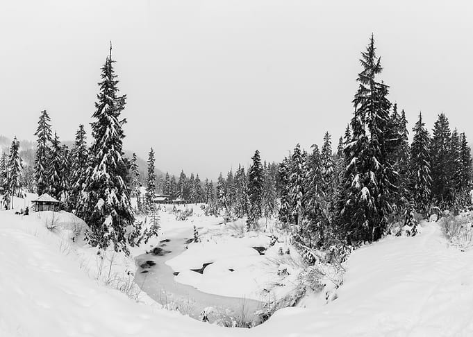 Snowy Forest Town with a Frozen Stream