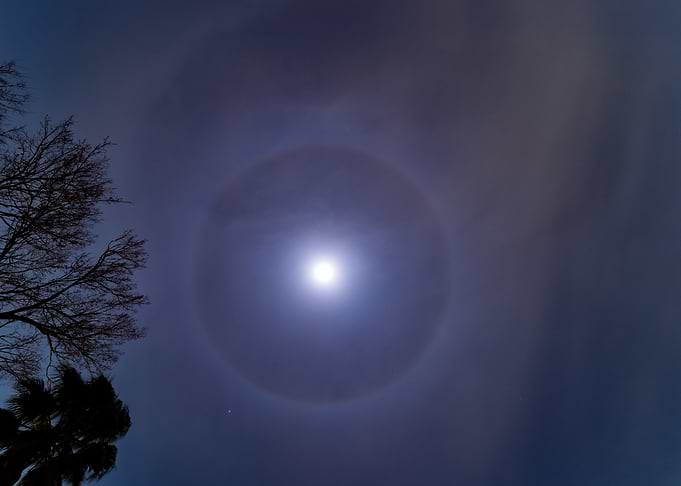 Moon Halo and Silhouette Trees