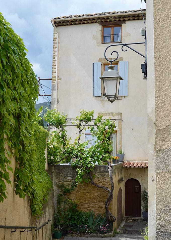 Charming European Alleyway with Greenery