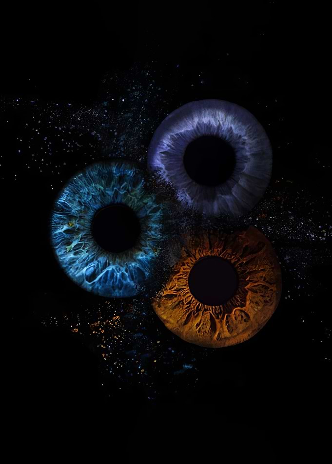 Three Colorful Irises Exploding