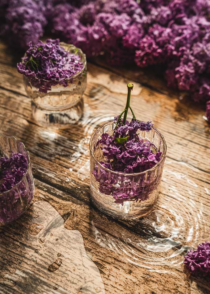 Lilacs in Water Glasses on Wood