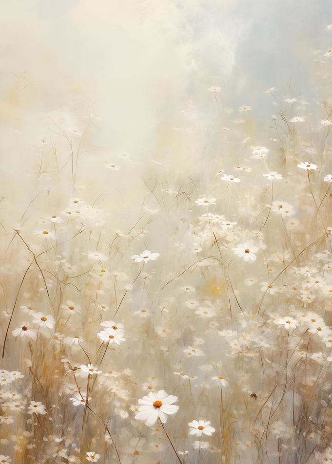 Soft Focus Daisy Field