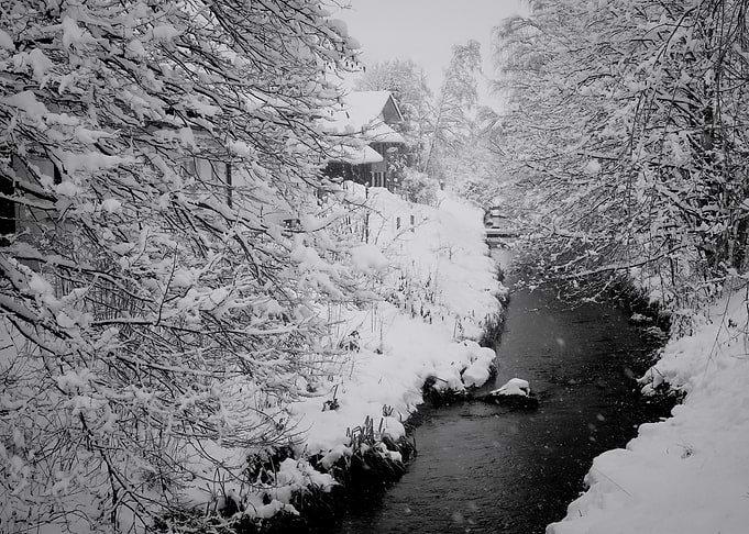 Snowy stream and trees