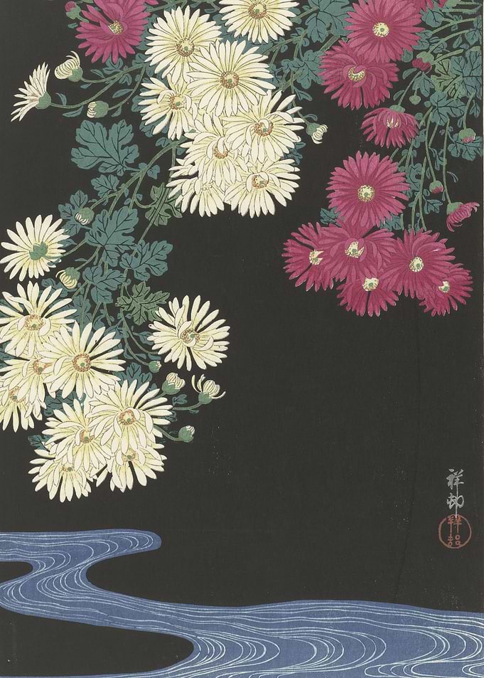 Chrysanthemums and Water