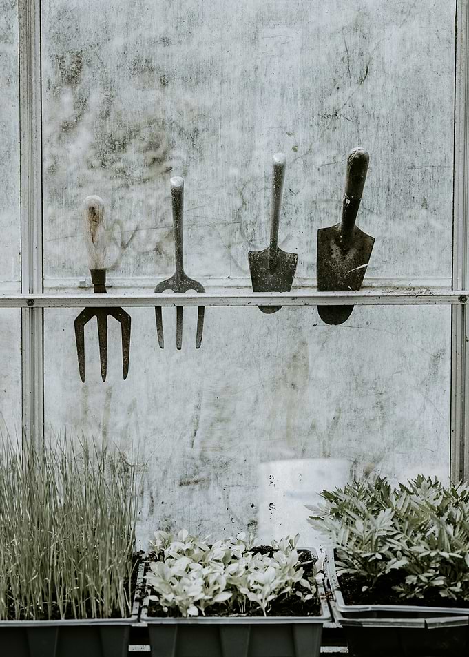 Gardening Tools and Seedlings in Greenhouse