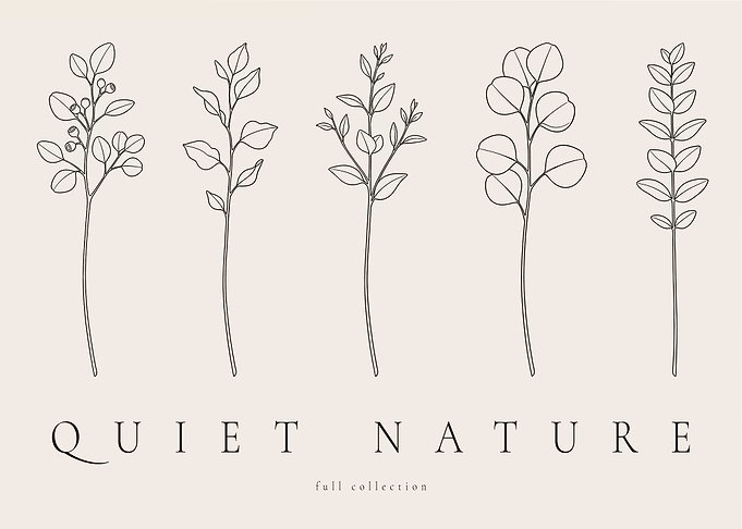 Eucalyptus Botanical Study – Full Minimalist Collection