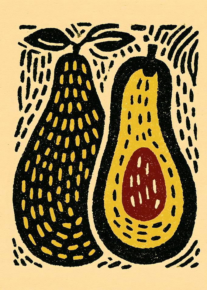 Avocado illustration