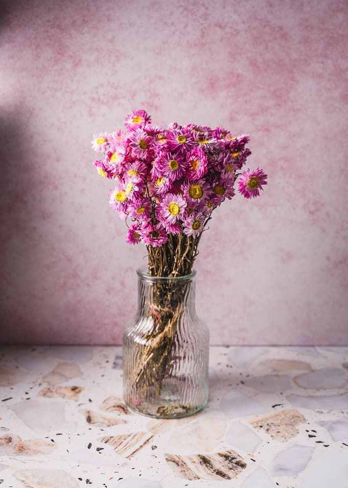 Pink dried flowers in a glass vase