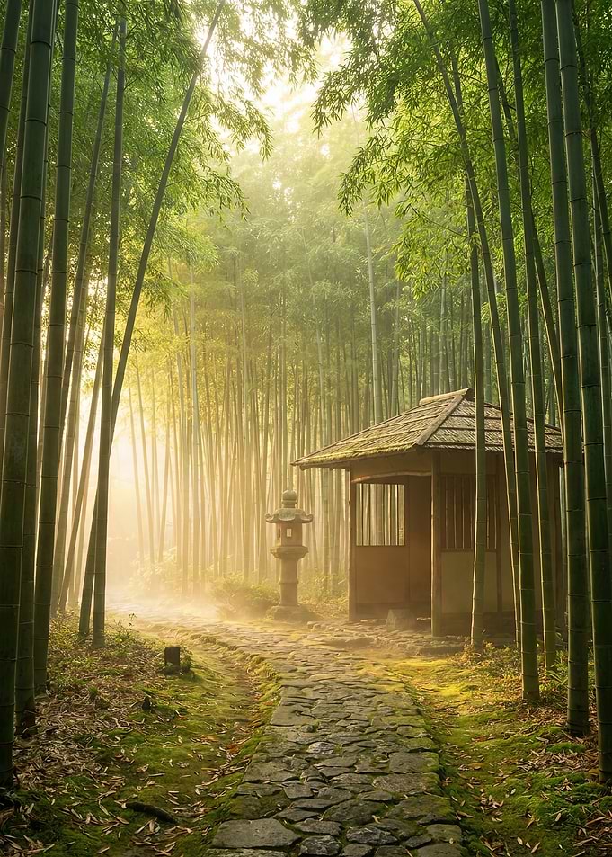 Serene Bamboo Forest Path with Tea House