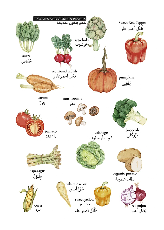 Watercolor illustration of kitchen chart and garden vegetables