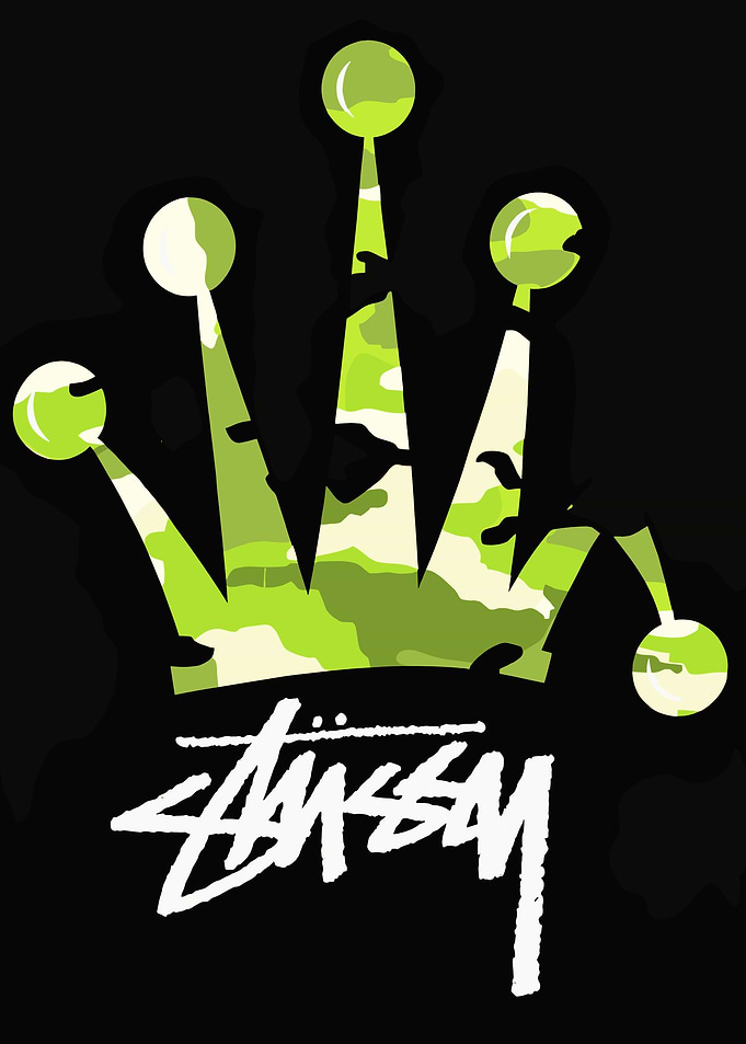 Stussy Crown Camo Logo