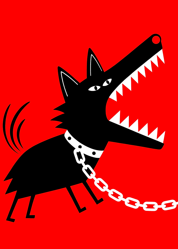 Aggressive Black Dog on Chain