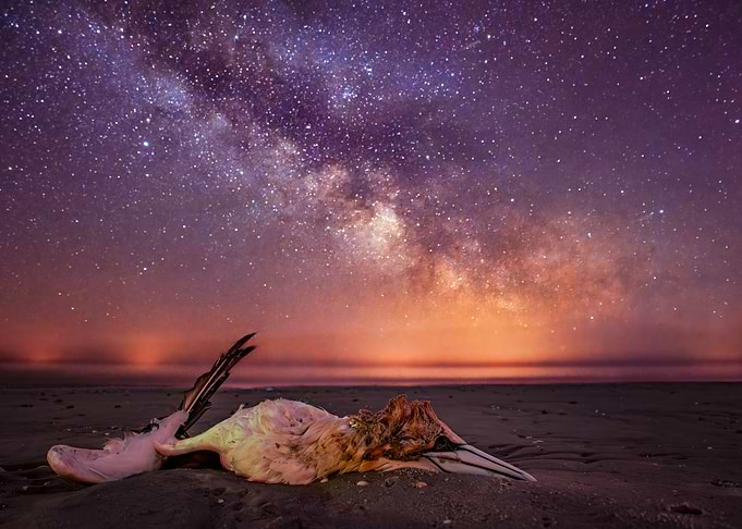Dead Garnet under the Milky Way