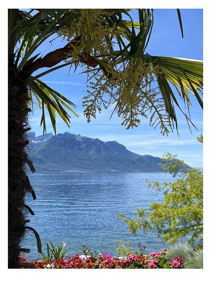 Tropical Lakeside Mountain View