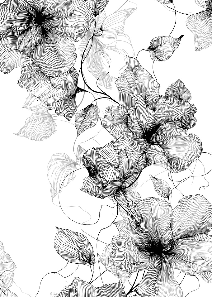Elegant Black and White Floral Line Art