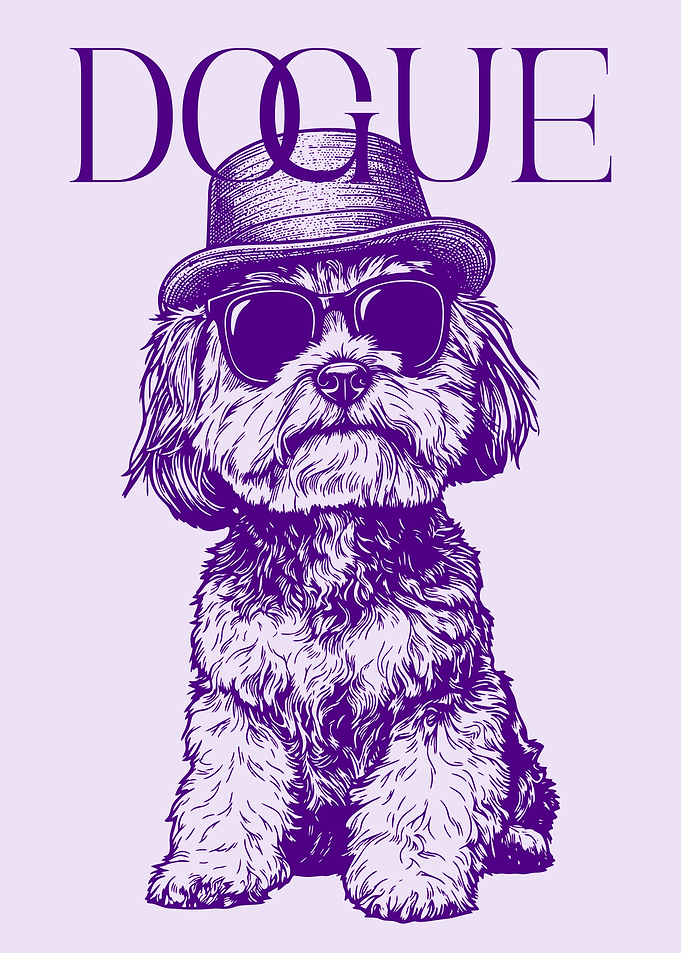 Dog Wearing Hat and Sunglasses