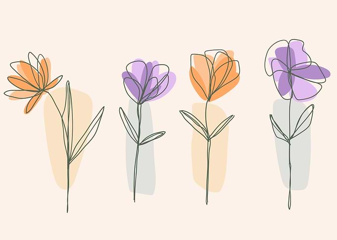 Minimalist Floral Line Art