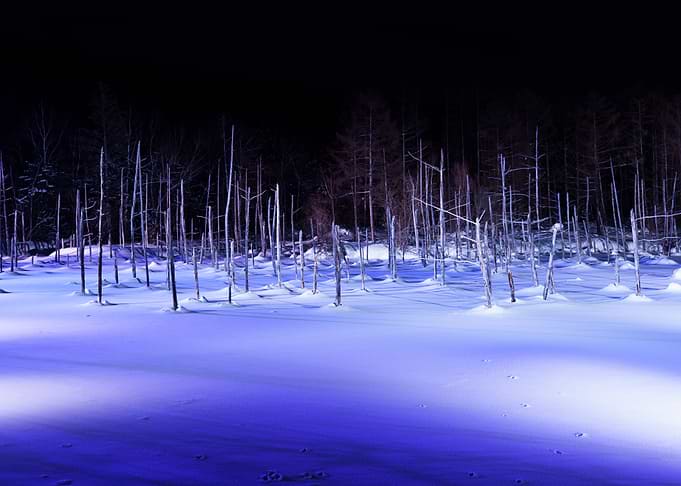 Shirogane Blue Pond Winter Illumination in Biei (Hokkaido)