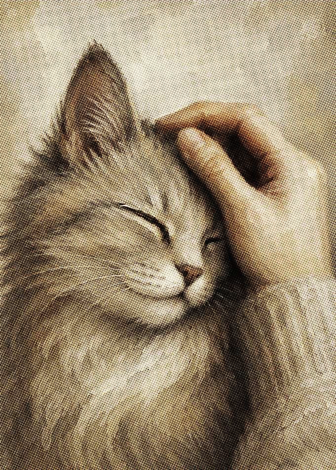 Hand petting a contented cat